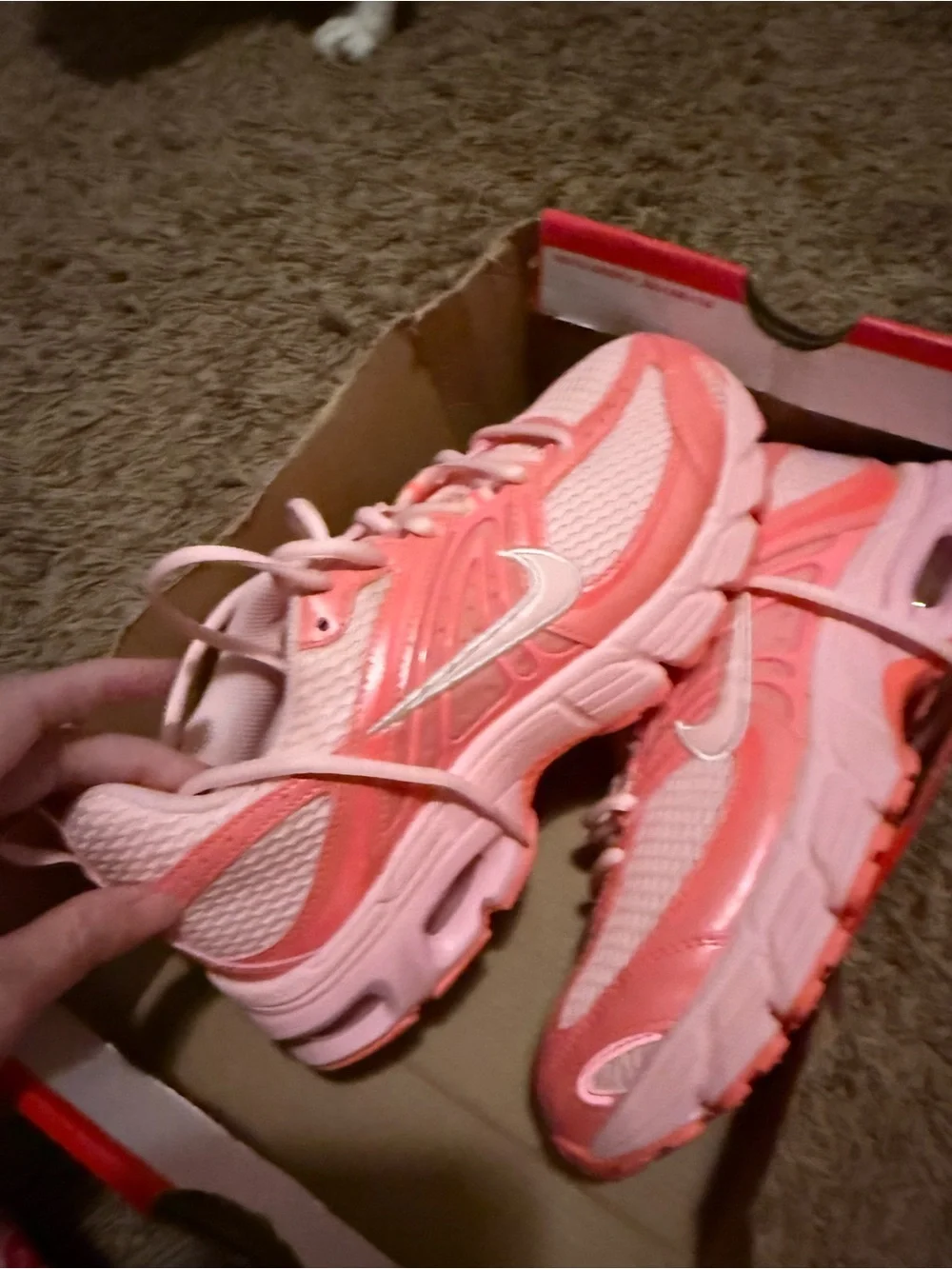 Nike Women's Coral Pink Mesh Athletic Sneakers